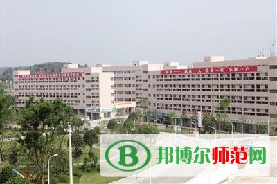 毕节幼儿师范高等专科学校2023年网站网址