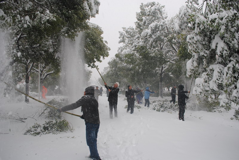 淮南师范学院召开抗雪防灾工作会议，加强校园安全工作