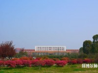 安徽新华师范学院2023年网站网址