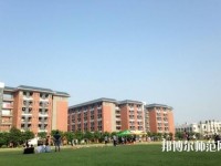 中山大学新华师范学院东莞校区2023年学费、收费多少