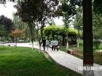 西北大学师范学院桃园校区2023年网站网址