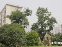 中南财经政法师范大学首义校区是几本