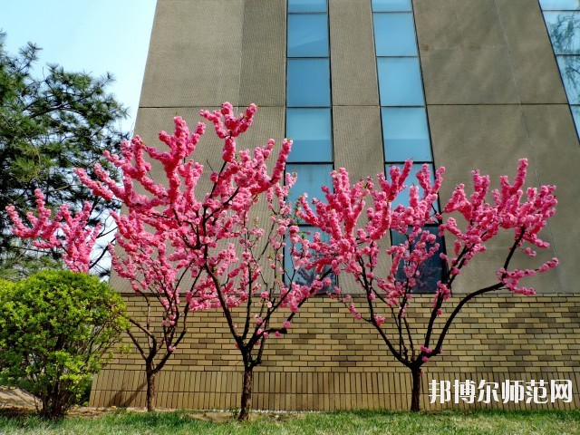 中央财经师范大学学院南路校区招生办联系电话