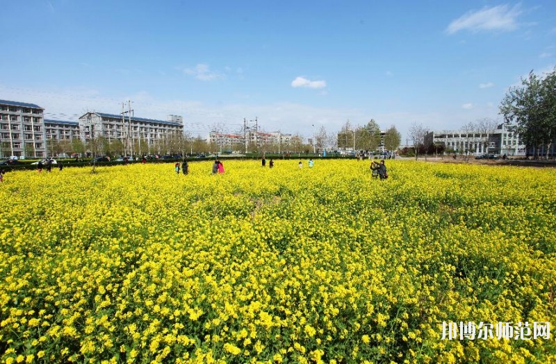 河北科技师范大学网站网址