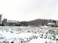 济南大学泉城师范学院2020年招生录取分数线