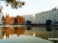 武汉理工师范大学余家头校区2023年网站网址