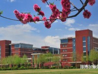 河北大学师范学院新校区2023年招生办联系电话