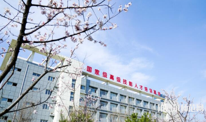 涿州幼师技师学院