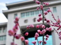 延安大学师范学院杨家岭校区2023年学费、收费多少