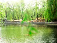 燕山大学师范学院2023年排名