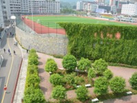 习水幼师职业技术学校2023年有哪些专业