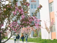 渭南职业技术师范学院朝阳校区2023年学费、收费多少
