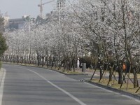 眉山职业技术师范学院历年招生录取分数线