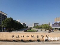 武汉城市职业师范学院2023年是几专