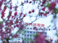 柳州城市职业师范学院2023年是几专