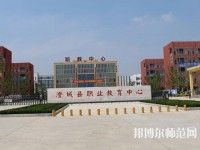 澄城幼师职业教育中心2023年地址在哪里