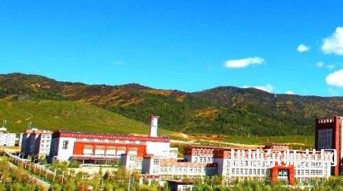 师范网1