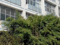 贵州贵阳中山科技幼儿师范学校2023年学费、收费多少