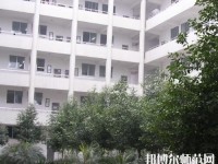 汉滨新建幼儿师范中等职业技术学校2023年有哪些专业
