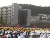 南充技工幼儿师范学校2023年网站网址