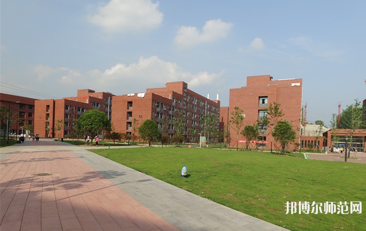 湖北哪些大学有幼师学校大专