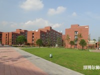 湖北哪些大学有幼师学校大专