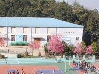 云南林业幼儿师范高级技工学校2023年学费、收费多少
