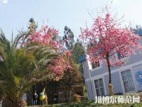 云南林业幼儿师范高级技工学校2023年网站网址