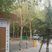 石家庄华师经济管理幼儿师范中等专业学校