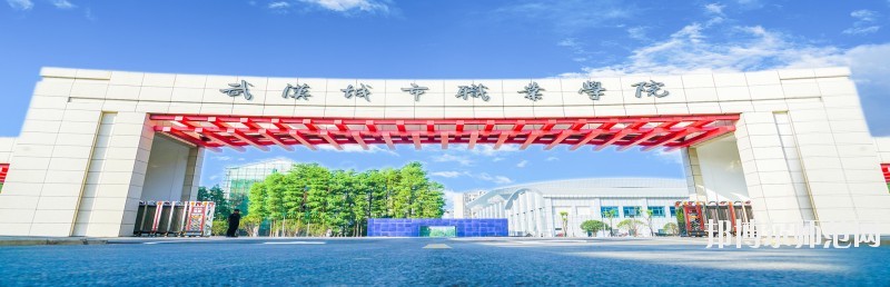 武汉城市职业学院