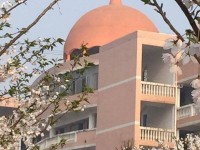 湖南幼师学校包分配吗