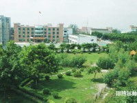 广东有哪些收幼师学校的大专