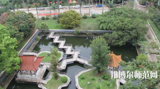 广西中专幼师学校专业都学什么