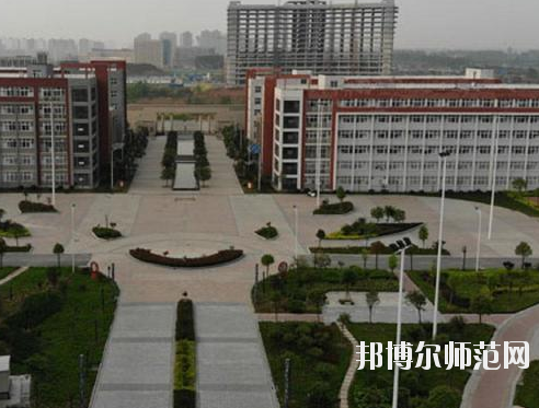 河南2020年可以读幼师学校的大专学校