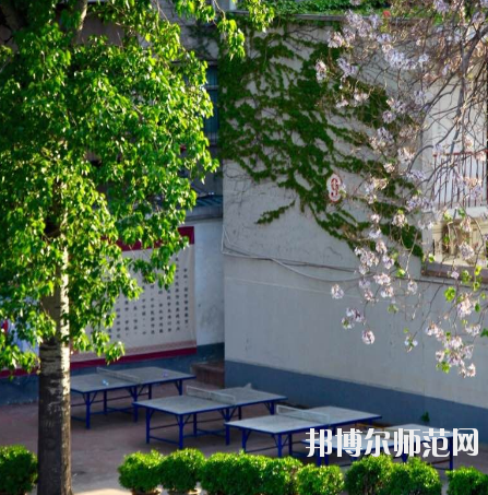 河南2020年初中生可以学幼师学校吗