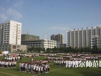 河北2020年男生上什么幼师学校比较好