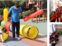 成都2020年中专幼师学校专业课程