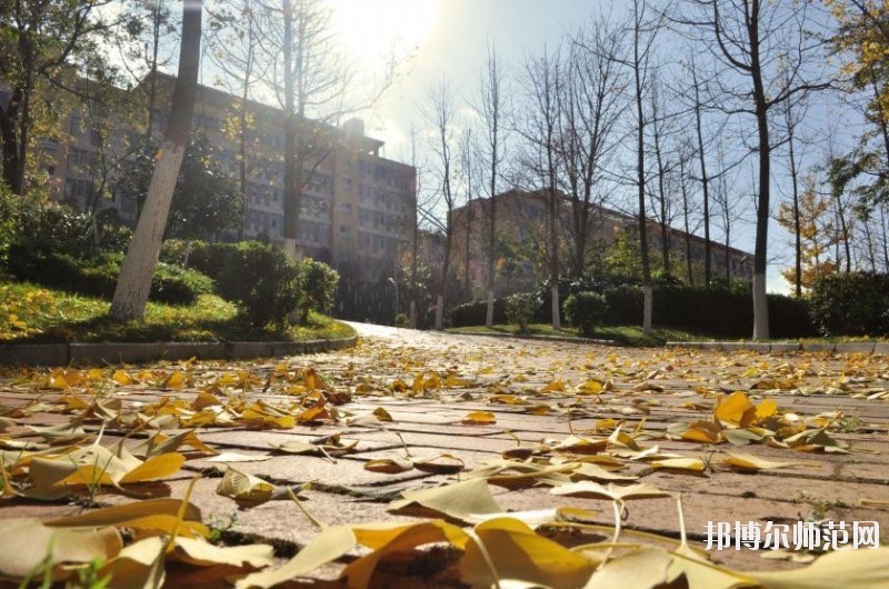 云南交通职业学院