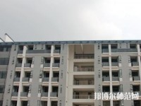 广东2020年幼师学校是什么意思