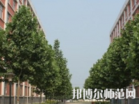 郑州2020年哪些大学有幼师学校大专