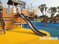 宝鸡2020年现在幼师学校学什么专业好