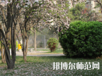 郑州2020年初中生可以去的幼师学校