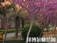 郑州2020年什么幼师学校最有前途