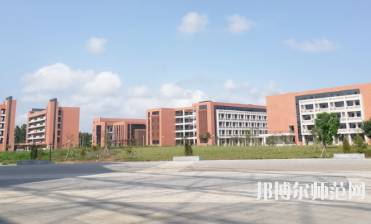 湛江2020年可以读幼师学校的大专学校