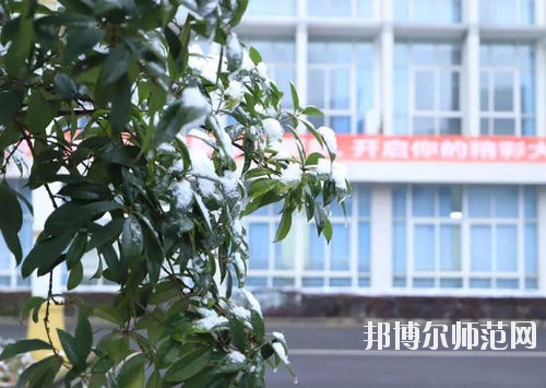 德阳科贸职业学院幼师升学班地址在哪里