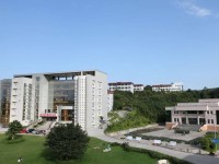 宝鸡2020年读幼师学校有没有用