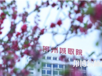 柳州城市职业师范学院2023年地址在哪里