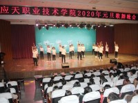 应天职业技术师范学院2023年网站网址