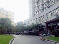 东华大学师范学院延安路校区2023年有哪些专业