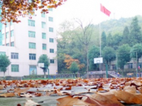 贵州师范大学求是学院2023年网站网址